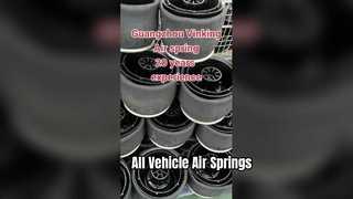 produttore di molle ad aria per tutti i tipi di molle ad aria